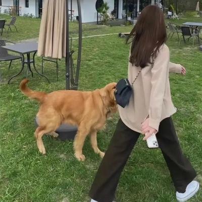 相约禁果树下